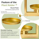 Picture Frame Plant Holder, Window Planter Hanger Shelves,Wall Mount Plants shelf Indoor Outdoor, Metal Hanging Planters Stand Decor,Modern Floating Ornament Rack Art for Home & Garden (Gold 2pc) by GreenHaven Gardens