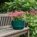 G EPGardening Ceramic Planter for Indoor Plants - 7 Inch Plant Pot, Round Planter with Drainage and Saucer, Round Flower Pots for Outdoor, Modern Desk Decor, Gift for Women Men, Green by GreenHaven Gardens
