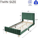 Livinia Twin Size Elton Velvet Platform Bed, Upholstered Bed Frame with Vertical Channel Tufted Headboard Footboard, Strong Wood Slats, No Box Spring Needed, Green (Twin) by CozyNest Decor