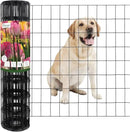 Black PVC Coated Welded Wire Fence 24 Inch x 25 Foot, 2 Inch x 3 Inch 16GA, Garden Border Fencing Roll Vinyl Coating Metal Wire Mesh for Yard Vegetable Plant Protection Poultry Netting by GreenHaven Gardens
