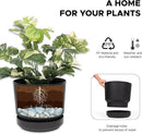 Elly Décor 8 inch Plastic Cylinder Planter Pot with Self-Watering Saucer and Drainage Hole,Lightweight & Extremely Durable, 8"x 8", Black by CozyNest Decor