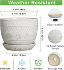 G EPGardening Ceramic Planters for Indoor Plants - 5 Inch Plant Pot for Outdoor Plants Succulent Planter with Drainage Hole and Saucer Flower Pot for Room Decor White by GreenHaven Gardens