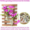 ShopLaLa Wall Planter – Wooden Air Plant Succulent Holder Hanger Indoor Outdoor, Live Orchid Wall Wood Display Frame Vertical Garden Balcony Deck Bathroom Macetas Para Plantas De Aire 15.7" (40cm) by GreenHaven Gardens