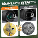 15x30 Compact Binoculars for Adults and Kids - Occer Large View High Powered Binoculars for Bird Watching - Lightweight Easy Focus Binocs with Low Light Vision for Hunting Cruise Ship Travel by TinyTreasures Baby Boutique