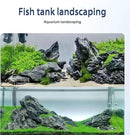 Dragon Stone Aquarium Rock Seiryu Stone for Aquariums, Fish Tanks, Bonsai, Terrariums, Wargaming Dioramas, Indoor or Outdoor Gardens-40Lb(2-10 Inch) by CozyNest Decor
