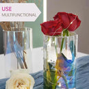 12pc Glass Cylinder Bud Vases for Centerpieces,6 inch Tall Irised Crystal Clear Flower Vases in Bulk,Hurricane Glass Candle Holders for Table Centerpiece Formal Dinners Home Decor by GreenHaven Gardens