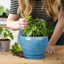 6 Inch Plant Pot - Ceramic Planter Pot with Drainage Hole and Saucer, Glaze Succulent Pot Modern Round Flower Pot for Indoor Plants, Blue by GreenHaven Gardens