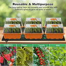 GooingTop Seed Starter Tray, 6 Pack 72 Cells Plant Grow Kit with Adjustable Humidity Vent for Mini Greenhouse Garden Germination,Bonsai Seedlings Starting Growing by GreenHaven Gardens