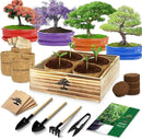 Bonsai Tree Kit, Bonsai Starter Kit with 4 Bonsai Tree Seeds, Tools & Planters, Bonsai Tree Live Plants Indoor, Gardening Gifts for Women Men Mom Father Plant Lover, Unique Christmas Gifts by GreenHaven Gardens