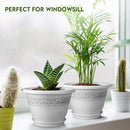 8 Inch Plant Pots with Drainage Hole - Lightweight Flower Pots for Herbs and Flowers - Home Decor Plastic Planters for Indoor Outdoor Plants- Pack of 6 (White, 8 inch) by GreenHaven Gardens