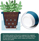 D'vine Dev 4 Inch Design Self Watering Planter for Indoor Plants, Blue Terracotta Pot with Cylinder Glass Cup, Set of 2, 37-Y-A-4 by GreenHaven Gardens