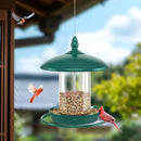 Pack of 2 Bird Feeder for Outdoor Hanging. Green by CozyNest Decor