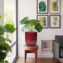 Ceramic Planter for Plants - 10 Inch Plant Pot Indoor with Drainage Hole and Saucer Modern Large Outdoor Planter Flower Pot for Home Decor Red by GreenHaven Gardens