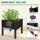 Emalie Raised Garden Beds Elevated Plastic Planter Box with Drainage Plugs Perfect for Vegetables Flowers Herbs Growing Outdoor, 31.5" Lx15.7 Wx16.5 H Brown by GreenHaven Gardens