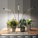 Super Bright Plant Grow Light Clip-on, 6000K Full Spectrum Gooseneck Growing Lamp with White Red Blue LEDs for Indoor Plants, Dimmable, Auto On/Off Timer 4/8/12Hrs, Independent Control Light Bars by GreenHaven Gardens