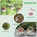 Ivolador Hanging Planter Glass Terrarium Container Air Plant Holder Succulents Globe Shape Home Garden Decor-4.7 Inches-3PCS by GreenHaven Gardens