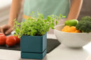 4 Inch Herb Planter Pot, Plastic Planter with Drainage Holes and Saucer, Modern Decorative Gardening Pot for Indoor Plants, Flowers, Herbs, Succulents, Green, Set of 4, 76-Y-C-4 by GreenHaven Gardens