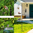 Premium Bird Feeding Station Kit - Multi Feeder Hanging Set with Suet Cage, Bird Bath & Finch Sock Attractors by GreenHaven Gardens