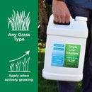 Maximum Green & Growth Fertilizer High Nitrogen 28-0-0 Lawn Food Liquid Fertilizer- Spring & Summer- Any Grass Type- Simple Lawn Solutions - Concentrated Quick & Slow Release Formula (2.5 Gallon) by GreenHaven Gardens