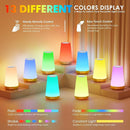 LED Night Light Bedside Lamp Touch and Remote Control Dimmable Tabletop 13 RGB Colors Changing 5 Brightness Adjustable Rechargeable Portable Lamp for Baby Kids Nursery Bedroom Bathroom Outdoor Camping by TinyTreasures Baby Boutique