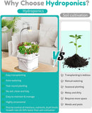 Indoor Herb Garden Growing System Kit, 6 Pods Hydroponics System with LED Grow Light, Hydroponic Planter for Home Kitchen Windowsill, White by GreenHaven Gardens
