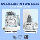 Vital Toothpaste Tabs with Nano-Hydroxyapatite | Naturally Whitens + Remineralizes Teeth | Fluoride & Plastic Free | Combats Sensitivity | Travel & Eco Friendly | Charcoal Mint | 62 Tablets (1 Month) by CozyNest Decor