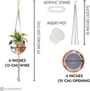 SCANDINORDICA Disco Ball Planter – Value Package: Mirror Disco Planter with Chain, Macrame Hanger and Acrylic Stand for Desk, Includes Self Watering Insert, Quirky Gifts | 6 inch Rose Gold by GreenHaven Gardens
