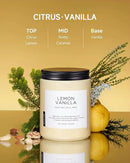 M&SENSE Candles Lemon Vanilla Scented, 19.4oz 110 Hours Long Lasting for Home 2 Wick Natural Soy Wax Non Toxic Candles in Glass Jar, Stress Relief Gifts for Women and Men by CozyNest Decor