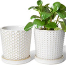 LE TAUCI Ceramic Plant Pots, 5.4 Inch Pots for Indoor Plants, Planters with Drainage Hole and Saucer, Flower Pots for Succulent, Snake Plants and Cactus, Set of 2, Reactive Glaze White by GreenHaven Gardens