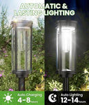 Solar Pathway Lights Outdoor, 4 Pack Bright Solar Powered Garden Lights Waterproof IP65, Long Lasting Outdoor Light for Yard Garden Walkway Landscape Lawn Patio (Cool White, 4 Pack) by GreenHaven Gardens