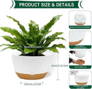 8 Inch Pots for Indoor Plants, Self Watering Planters with Drainage and Saucers, Plastic Outdoor Flower Pot, Set of 2, White by GreenHaven Gardens