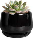 G EPGardening 6 Inch Planter - Ceramic Pot for Plants, Ceramic Planter with Drainage and Saucer, Round Flower Pot Indoor Outdoor, Modern Room Decor, Home Gifts, Black by GreenHaven Gardens