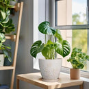 6.9 Inch Ceramic Plant Pot for Indoor Plants Outdoor Round Planter Flower Pot with Drainage Hole and Saucer for Home Garden Office Decor White by CozyNest Decor