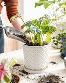 LE TAUCI Ceramic Pots for Plants, 5.4 Inch Plant Pots with Drainage Hole and Saucer, Indoor Plant Pots for Succulent, Snake Plants and Cactus, Flower Pots, Set of 2, Reactive Glaze White by GreenHaven Gardens