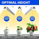 Barrina Grow Lights for Indoor Plants, Full Spectrum Grow Light, 1ft Plant Lights for Indoor Growing, LED Grow Lights, T5 Grow Light Strip, Plug and Play, Yellow, 8-Pack by GreenHaven Gardens