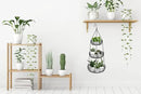 CAXXA 3-Tier Hanging Basket Fruit Organizer Kitchen Heavy Duty Wire Organizer with 2 Free Bonus Metal Ceiling Hooks, Black by CozyNest Decor