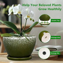 10 Inch Planter Pot - Ceramic Pots for Plants with Drainage Hole and Saucer, Round Large Flower Pot for Indoor Plants, Dark Green by GreenHaven Gardens