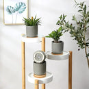 OMAYKEY 4 Inch Ceramic Plant Pot with Saucer, Creative Stripe Grey-Green Small Planters Pots with Drainage Hole and Mesh Pads for Succulent, Cactus, Herbs - Set of 4 by GreenHaven Gardens