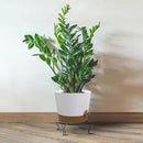 Self Watering Pots for Indoor Plants,12 inch Planters with Drainage Holes Plastic Flower Pots with Deep Reservoir, White with Brown by CozyNest Decor