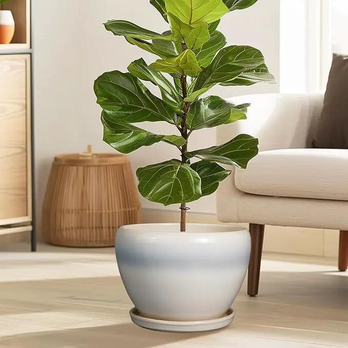 10 Inch Ceramic Planter Pot - Large Plant Pot with Drainage Hole and Saucer Round Flower Pot for Indoor Plants, White, photo 2 of 7