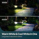 Linkind Solar Lights Outdoor Waterproof IP67, 3000K/6500K Solar Motion Sensor Lights with 6 Modes, 60 LEDs Solar Powered Spot Lights Outside Landscape Lighting for Garden Yard Pathway, 4 Pack by GreenHaven Gardens