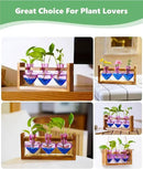 Nacome Plant Terrarium for Office Decor: Birthday Gifts for Plant Lovers Women Mom Wife - Wooden Stand Tabletop Planter 3 Bulb Glass Vase Heart Shaped for Hydroponics Indoor Home(Purple) by CozyNest Decor