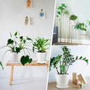 Ceramic Plant Pots,4+5+6 Inch Pots for Indoor Plants,Planters with Drainage Holes and Ceramic Tray, Indoor Flower Pots Gardening Home Desktop Office Windowsill Decoration Gift,Set of 3 (White) by GreenHaven Gardens