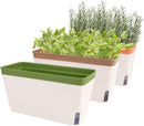 OurWarm Windowsill Herb Planter Box Indoor Set of 3, 10.5 Inch Self Watering Planter Pots with Visual Water Level Window, Modern Plastic Plant Pots for Herbs, Vegetables, Succulents Plants by GreenHaven Gardens