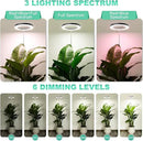 LORDEM 10" Full Spectrum Plant Light, 160 LEDs Large Grow Light for Indoor Tall Plants, Growing Lamp with 4/8/12H Auto Timer, 10 Dimmable Levels, 3 Spectrum Modes, 61" Height Adjustable, Pack of 2 by GreenHaven Gardens
