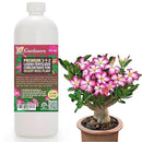 Premium Liquid Desert Rose Plant Fertilizer - 3-1-2 Concentrate for Indoor Plants and Flowers by Gardenera | Organic Plant Food for Desert Roses - 32oz by GreenHaven Gardens