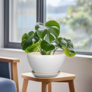 Ceramic Planter - 9 Inch Plant Pot Indoor with Drainage Hole and Saucer for Outdoor Plants Mid-Century Round Planter Modern Flower Pot for House Garden White by GreenHaven Gardens