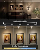EZVALO Battery Powered LED Spotlight Indoor, Wireless Picture Lights with Remote,5500mAh Rechargeable Mini Display Light, Uplighting Indoor for Artwork Tree Painting Portrait (white-1Pack) by CozyNest Decor