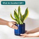 vancasso Ceramic Planters, Plant Pots for Indoor Plants, 6.25+8.25+10.25 Inch Ceramic Pots for Plants, Flower Pots with Drainage Holes (Blue, 6.25+8.25+10.25 Inch) by CozyNest Decor