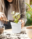 Homenote Pots for Plants, 8 Pcs 7.5 Inch Plastic Planters with Multiple Drainage Holes and Tray - Plant Pots for All Home Garden Flowers Succulents, Cream White by GreenHaven Gardens